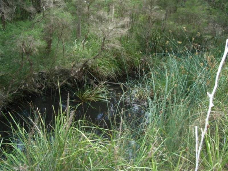 Lot 8 Burralee Drive, Worrigee NSW 2540