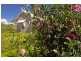 219 Hanigans Lane, Berry NSW 2535