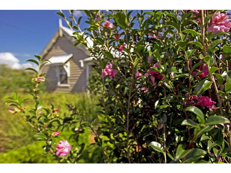 219 Hanigans Lane, Berry NSW 2535