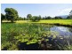 540 Illaroo Road, Cambewarra NSW 2540