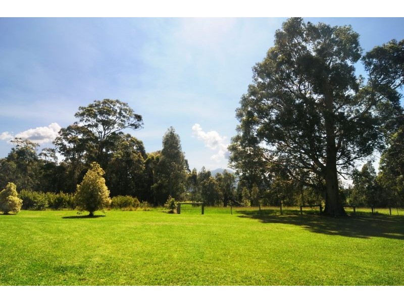 540 Illaroo Road, Cambewarra NSW 2540