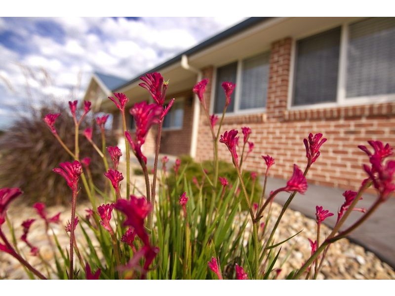 14 Connolly Street, Tomerong NSW 2540