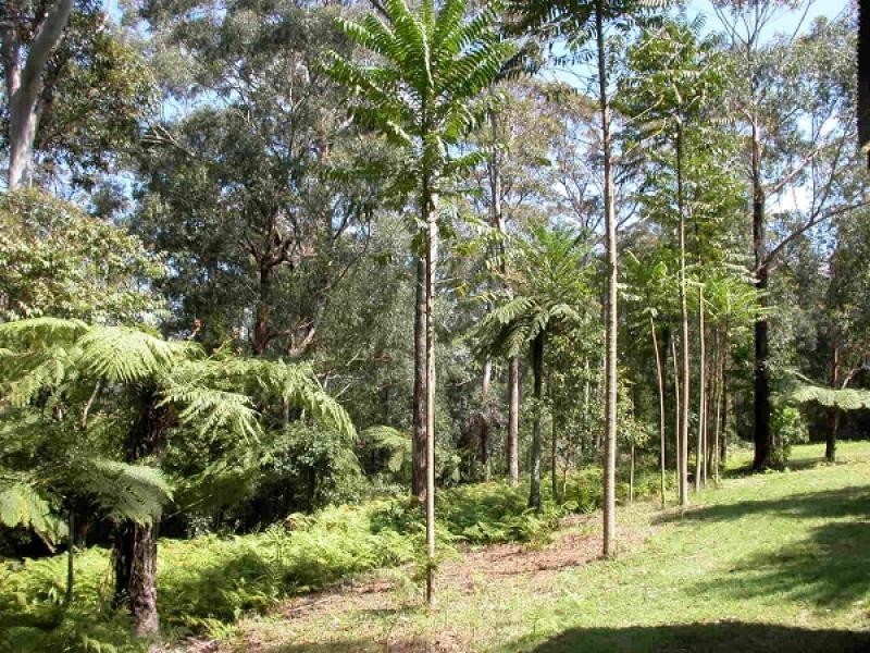 Berry NSW 2535