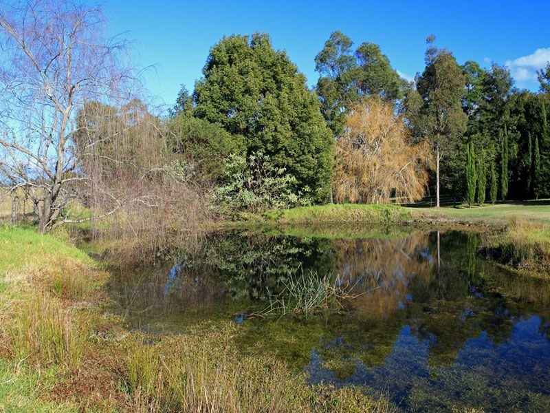 170b Woodhill Mountain Rd, Berry NSW 2535