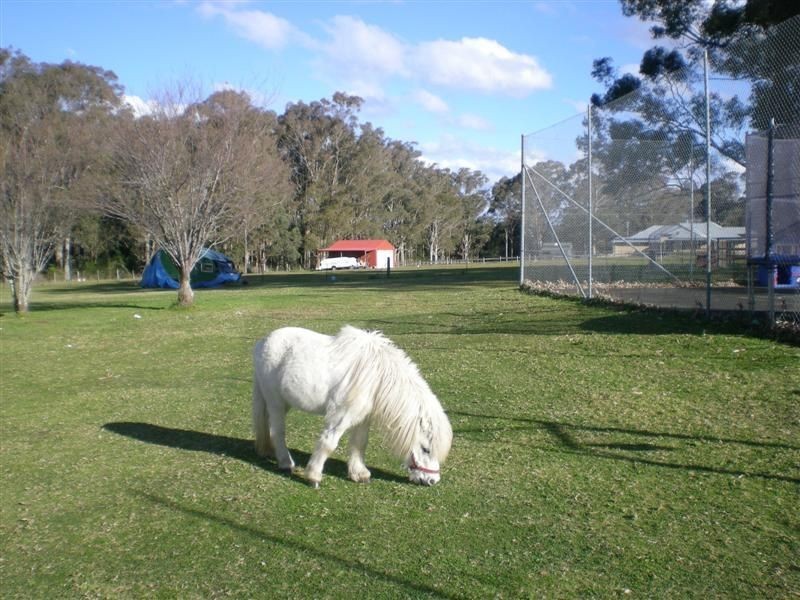 85 Wyanga Cres, Worrigee NSW 2540