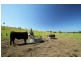 Lots 1 and 74 Millers Lane, Berry NSW 2535