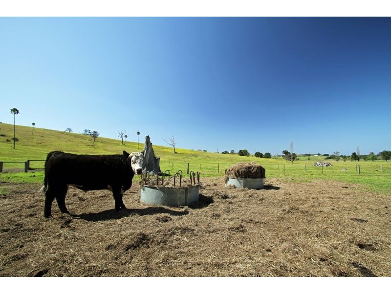 Lots 1 and 74 Millers Lane, Berry NSW 2535
