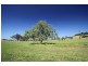 Lots 1 and 74 Millers Lane, Berry NSW 2535