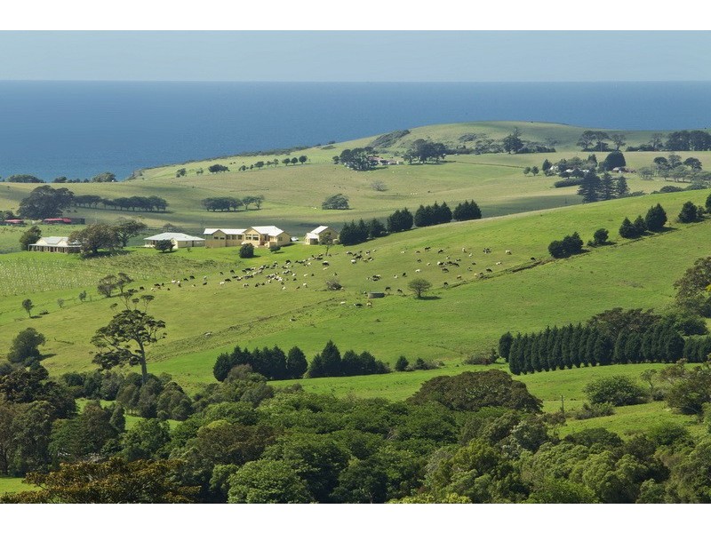 Gerringong NSW 2534