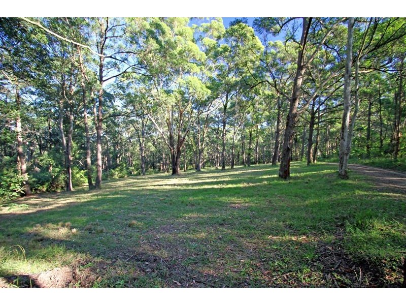 56 Wire Lane, Berry NSW 2535
