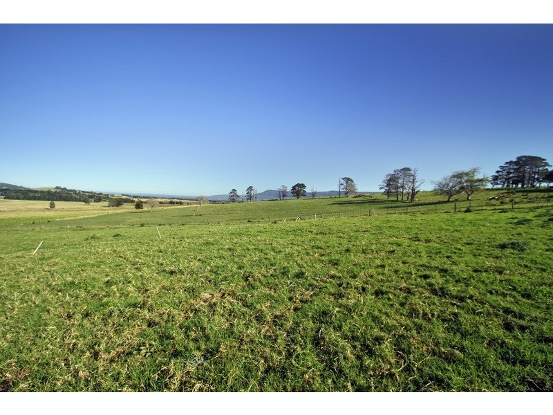 359b Coolangatta Road, Berry NSW 2535