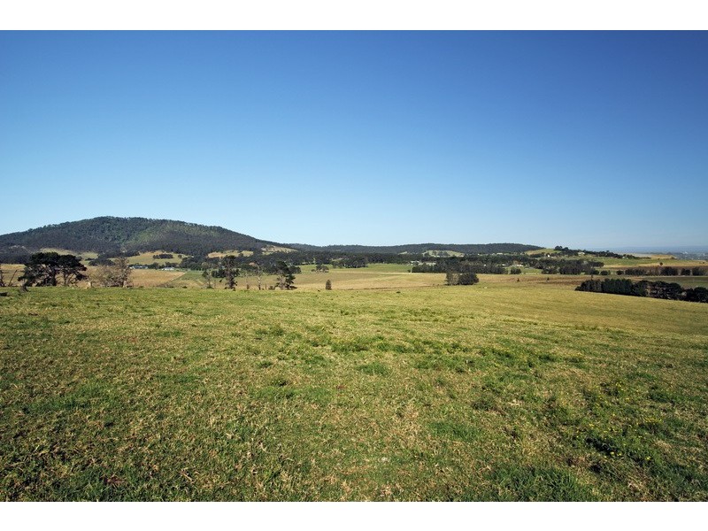 359b Coolangatta Road, Berry NSW 2535