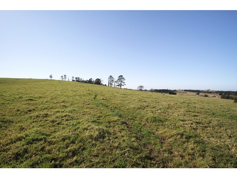 359b Coolangatta Road, Berry NSW 2535