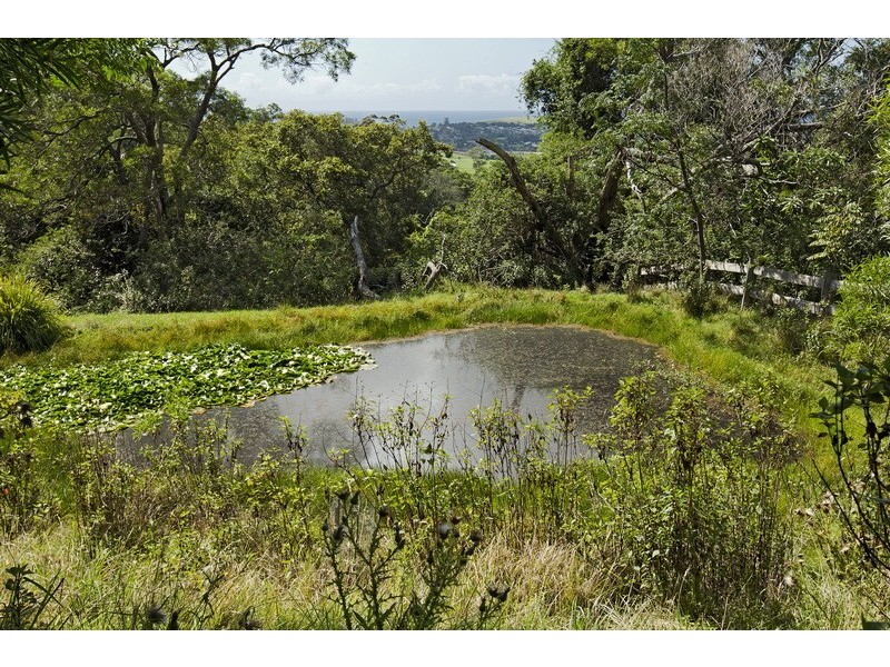 274 Willowvale Road, Gerringong NSW 2534