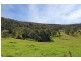 100A BACKFOREST ROAD, Back Forest NSW 2535