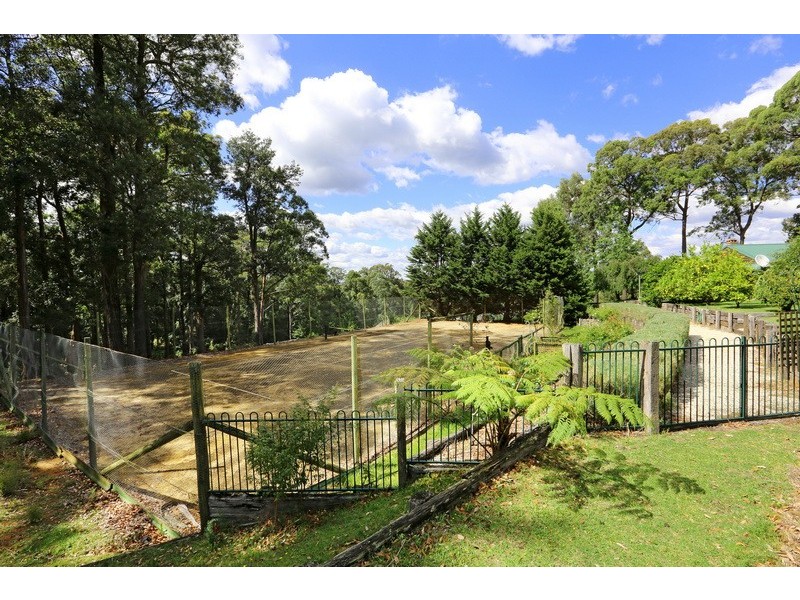438 Bugong Fire Trail, Kangaroo Valley NSW 2577