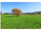 Gerringong NSW 2534