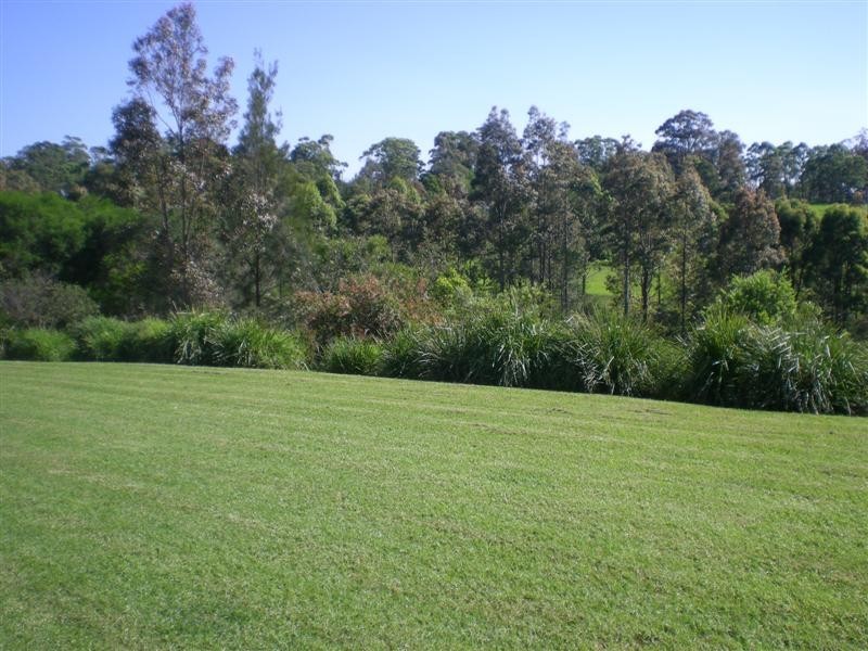 383D PARMA ROAD, Falls Creek NSW 2540