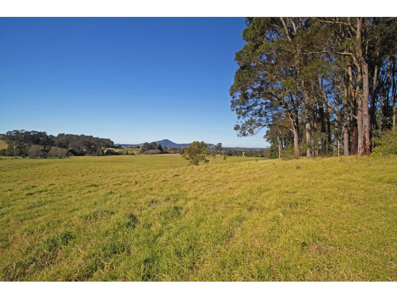 Lot 11 Devitts Lane, Berry NSW 2535