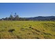 Lot 11 Devitts Lane, Berry NSW 2535
