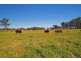 Lot 11 Devitts Lane, Berry NSW 2535
