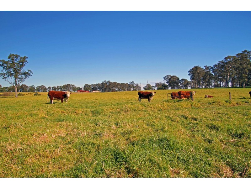 Lot 11 Devitts Lane, Berry NSW 2535