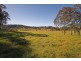 Lot 11 Devitts Lane, Berry NSW 2535