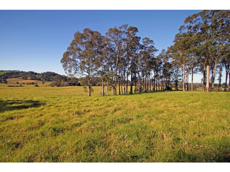 Lot 11 Devitts Lane, Berry NSW 2535