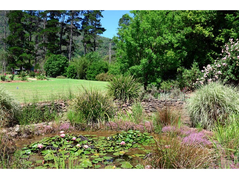 201 Tannery Rd, Cambewarra NSW 2540