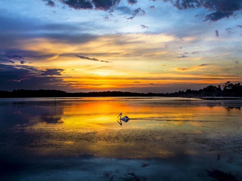 Shoalhaven Heads NSW 2535