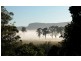 146 Moss Vale Road, Kangaroo Valley NSW 2577