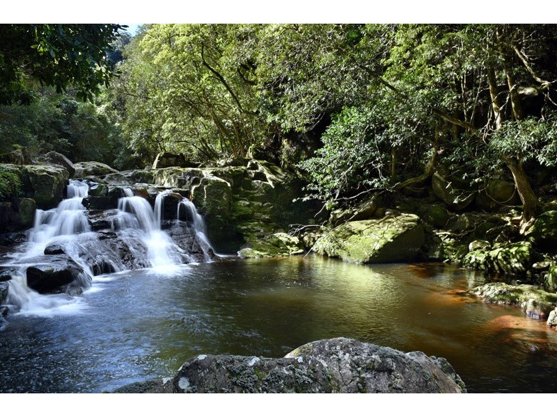 476b Brogers Creek Rd, Berry NSW 2535