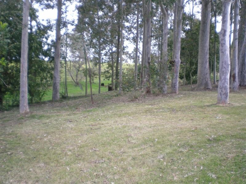 3 Maculata Close, Cambewarra NSW 2540