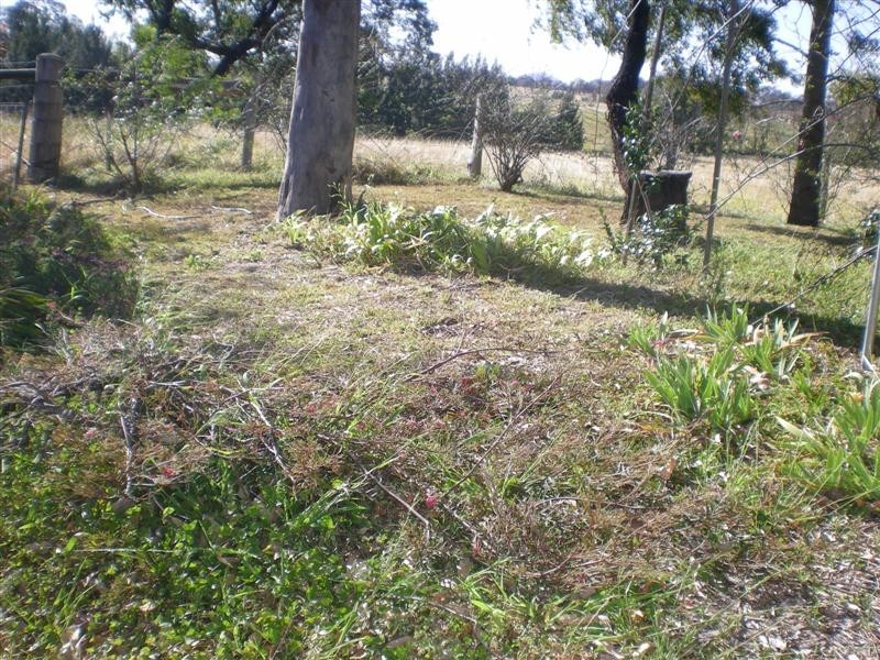 3 Maculata Close, Cambewarra NSW 2540