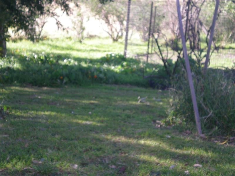 3 Maculata Close, Cambewarra NSW 2540