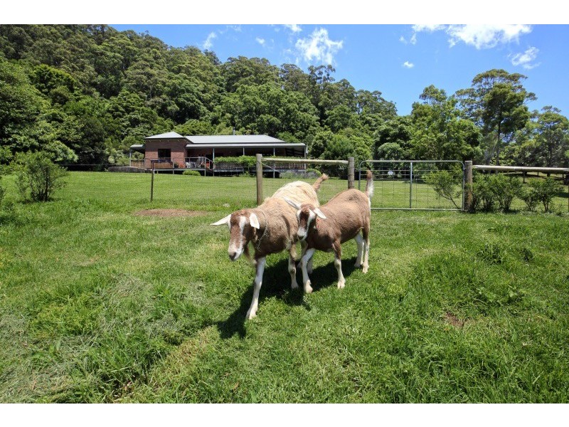 142 Cedar View Road, Berry NSW 2535