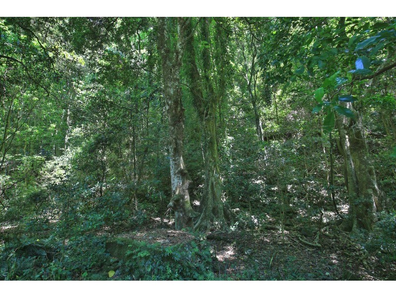 142 Cedar View Road, Berry NSW 2535