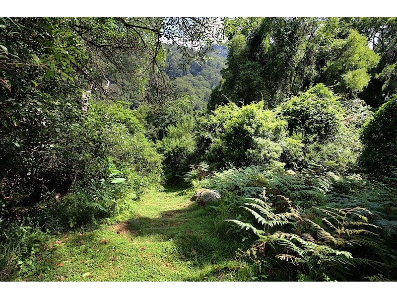 476a BROGERS CREEK ROAD, Berry NSW 2535