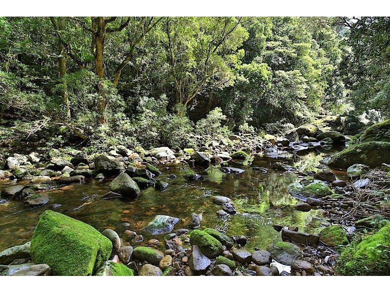 476a BROGERS CREEK ROAD, Berry NSW 2535