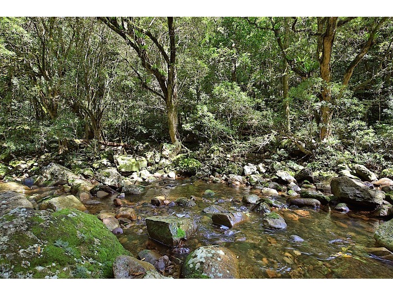 476a BROGERS CREEK ROAD, Berry NSW 2535