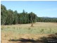 Coonabarabran NSW 2357