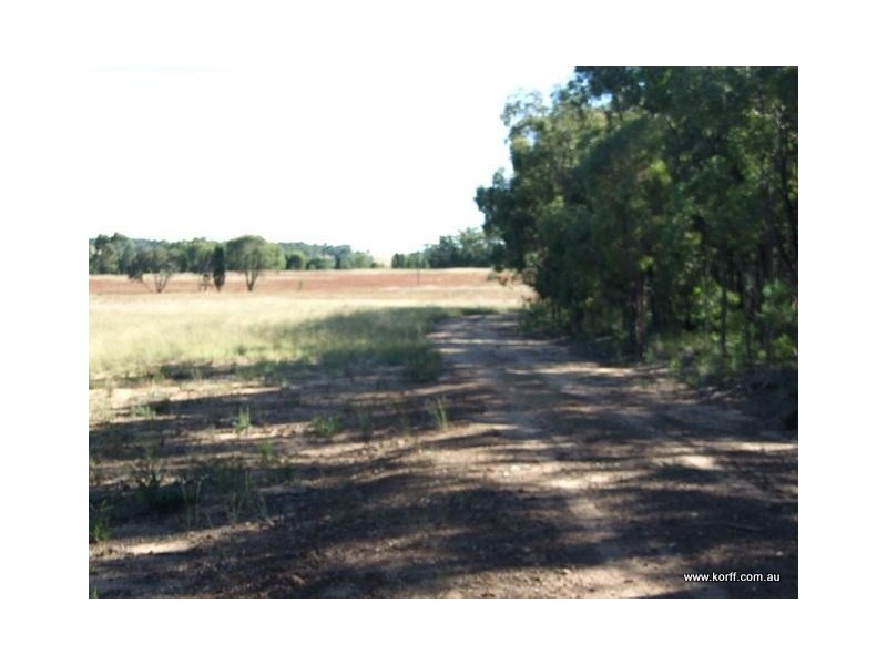 Coonabarabran NSW 2357