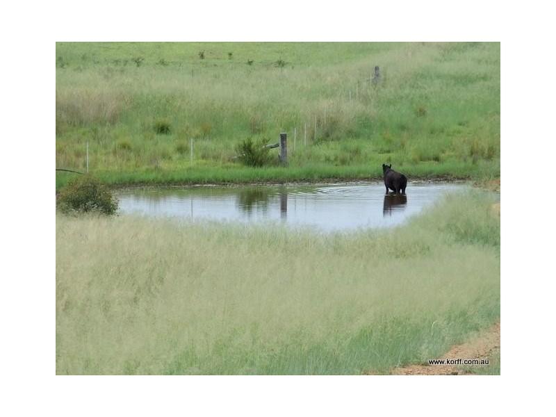 Coonabarabran NSW 2357
