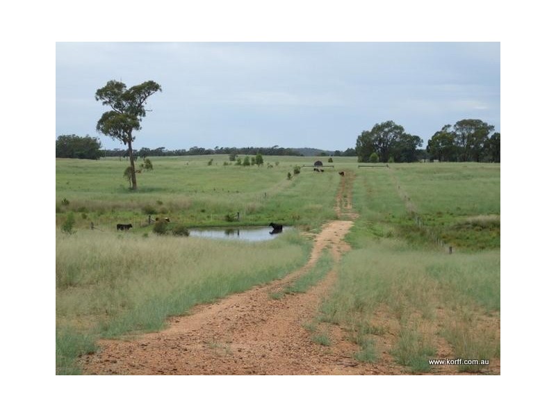 Coonabarabran NSW 2357