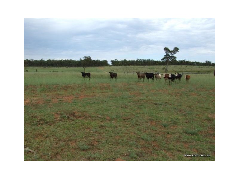 Coonabarabran NSW 2357