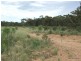 Coonabarabran NSW 2357