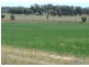 Coonabarabran NSW 2357