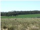 Coonabarabran NSW 2357