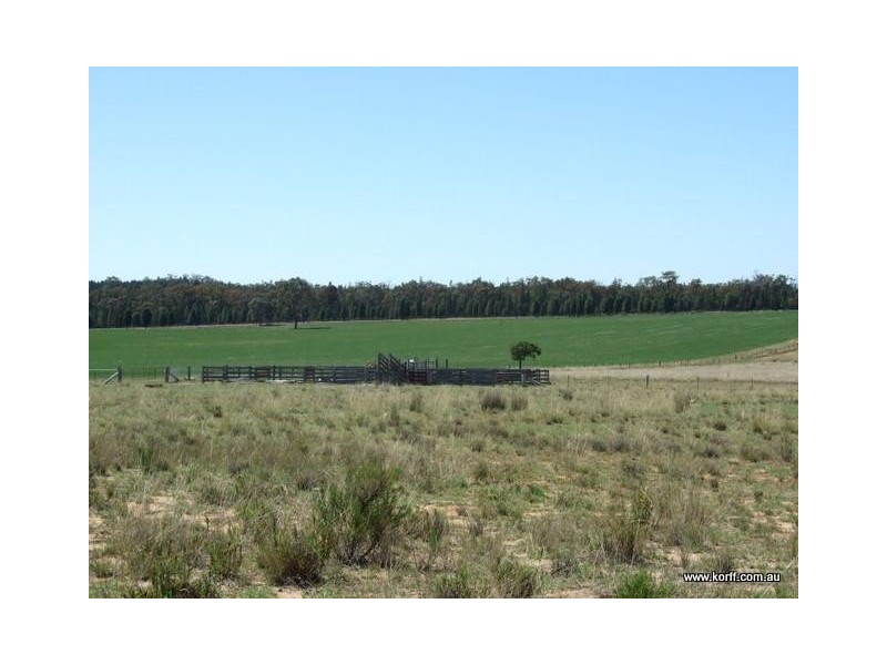 Coonabarabran NSW 2357