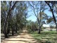 Coonabarabran NSW 2357